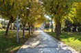 /album/nature/aimg-5207-jpg/