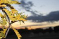 /album/nature/aimg-4618-jpg1/