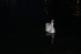 /album/nature/flaimg-4650-jpg1/
