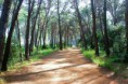 /album/nature/aimg-4410-jpg/