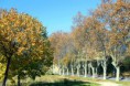 /album/nature/img-5037-jpg/