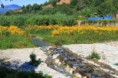 /album/nature/aimg-4333-jpg/