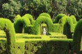 /album/nature/img-3958-jpg/