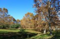 /album/nature/aimg-4778-jpg/