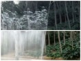 /album/nature/fotor0129102229-jpg/